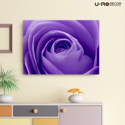 190912_PRINTED_PICTURE_VIOLET_ROSE_50X70_5