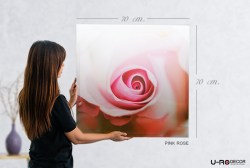 190711_PRINTED_PICTURE_PINK_ROSE