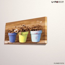190712_PRINTED_PICTURE_FLOWER_POTS