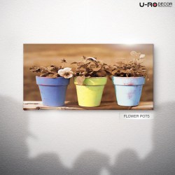190715_PRINTED_PICTURE_FLOWER_POTS