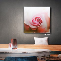 190715_PRINTED_PICTURE_PINK_ROSE_2