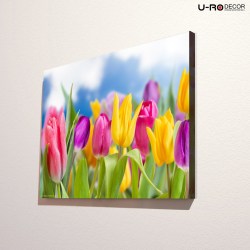 190725_PRINTED_PICTURE_TULIP_2