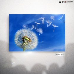 190814_PRINTED_PICTURE_BLUE_SKY_60x90_RESIZE_1