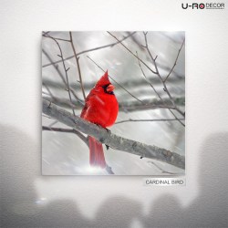 190814_PRINTED_PICTURE_CARDINAL_BIRD_A_70x70_1
