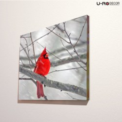 190814_PRINTED_PICTURE_CARDINAL_BIRD_A_70x70_2