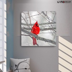 190814_PRINTED_PICTURE_CARDINAL_BIRD_A_70x70_5