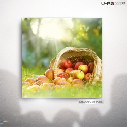190814_PRINTED_PICTURE_ORGANIC_APPLES_70x70_1