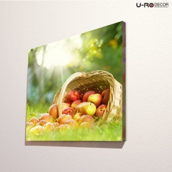 190814_PRINTED_PICTURE_ORGANIC_APPLES_70x70_2