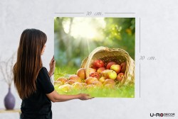 190814_PRINTED_PICTURE_ORGANIC_APPLES_70x70_3