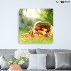 190814_PRINTED_PICTURE_ORGANIC_APPLES_70x70_5