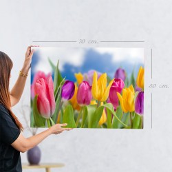 190912_PRINTED_PICTURE_TULIP_50X70_3