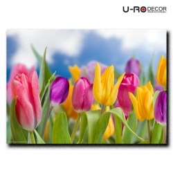TULIP_PRINTED-PICTURE_000000589_140519