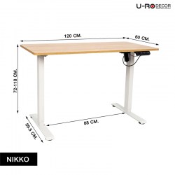 T_240913_SPEC_NIKKO_OAK